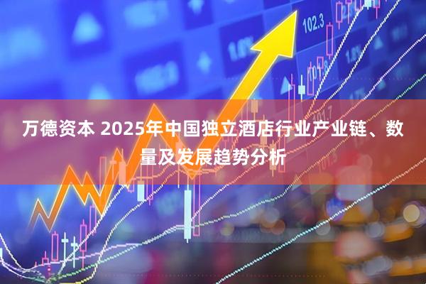 万德资本 2025年中国独立酒店行业产业链、数量及发展趋势分析