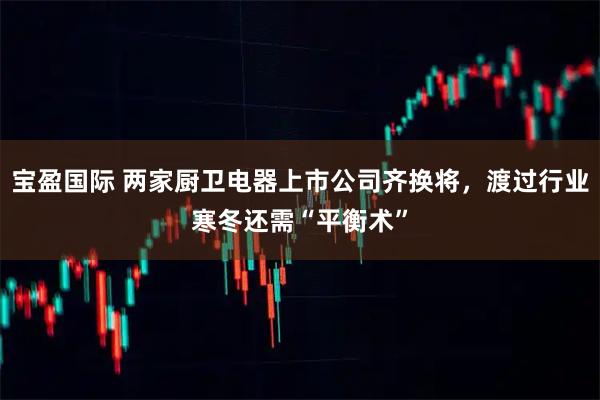 宝盈国际 两家厨卫电器上市公司齐换将，渡过行业寒冬还需“平衡术”