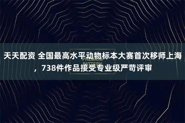 天天配资 全国最高水平动物标本大赛首次移师上海，738件作品接受专业级严苛评审